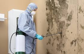 Best Forensic Mold Investigation  in Broadway, NC